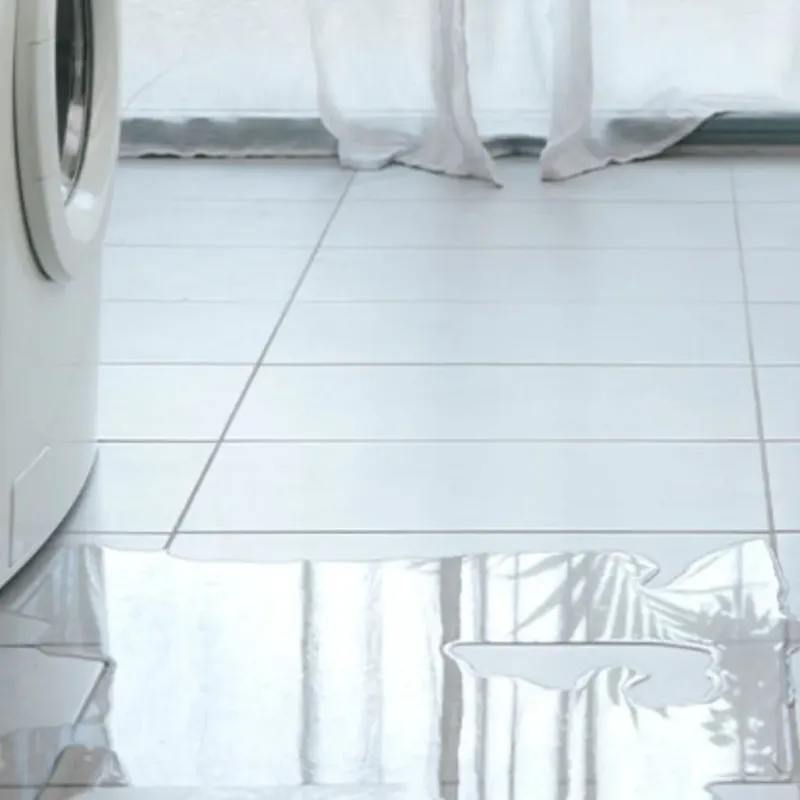 Appliance Leak Cleanup in Willowick, OH