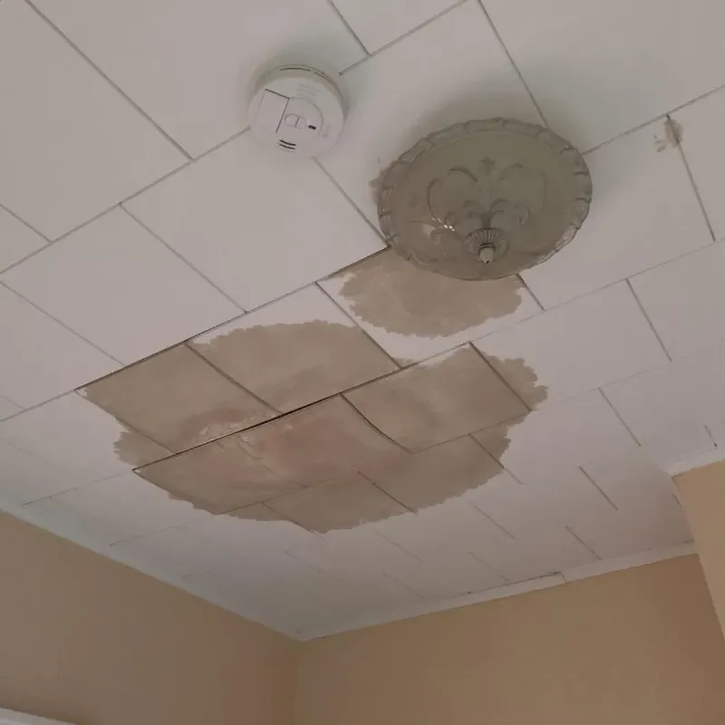 Ceiling Water Damage Repair in Willowick, OH